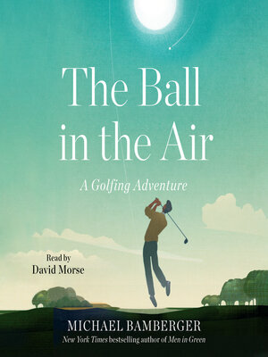 cover image of The Ball in the Air